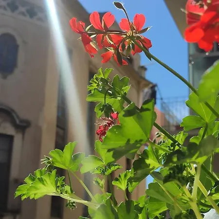 Casta Diva 4* Katania