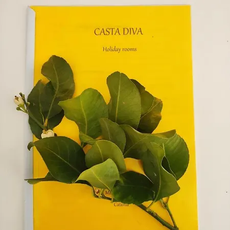 Casta Diva