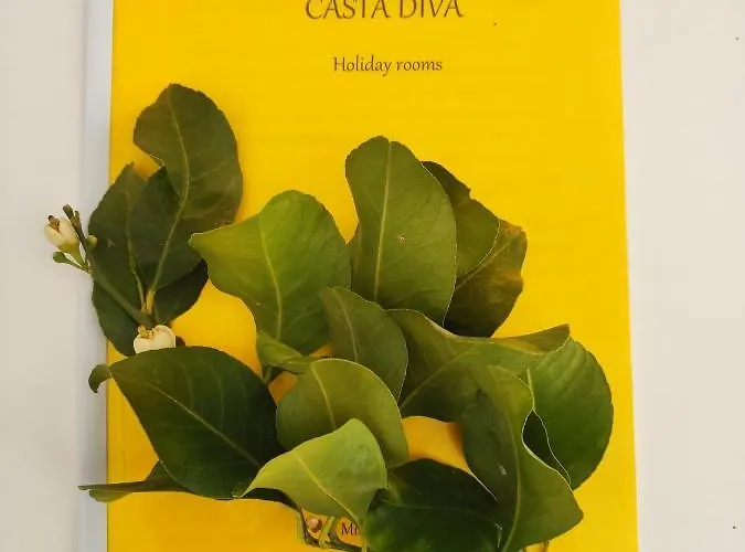 Casta Diva
